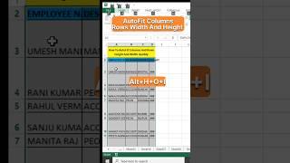 AutoFit Columns and Rows Width And Height Quickly #shorts #excel #exceltips #exceltrick #msexcel