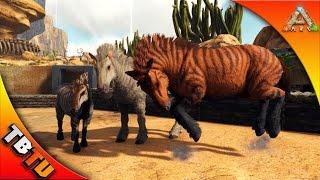 EQUUS TAMING AND BREEDING w/ Mago! - Ark Survival scorched earth gameplay - Gaming Evolved