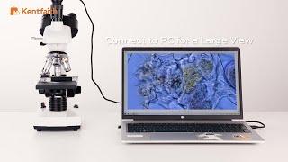 Introducing 40X 5000X Compound Trinocular Optical Microscope