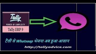 Tally Whatsapp Tdl