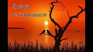 Христианский альбом - Любовь не вопрошает МСЦ ЕХБ (1998)