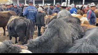 06.11.22 Красный Маяк, Саан уй жана торпок базары!