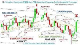  Price Action: How to trade TREND like a PRO (Support & Resistance Trading, Candlestick Psychology)