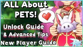 Pets in ROM! ULTIMATE Guide for 2023 [Ragnarok Mobile] #RagnarokMEternalLove