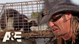 Snagging SUPER STINKY SKUNKS | Billy the Exterminator | A&E