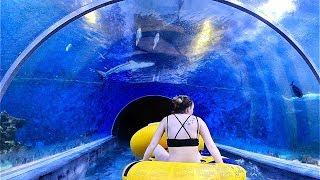 Shark Slide at Aquapark Reda in Poland