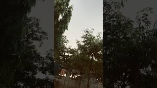 Live video