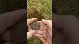 Star Spangled Banner Token!!#treasure #metaldetecting