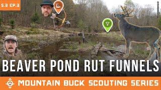 Scouting Beaver Pond RUT Funnels | Mountain Buck Scouting Series | S.3 Ep.3