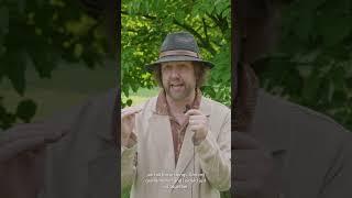 Aaron Lee Tasjan - Protect My Public Media Testimonial