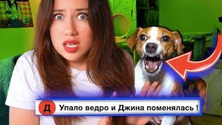 ПРИЗРАК ВСЕЛИЛСЯ В СОБАКУ ДЖИНУ - Страшная Ночь в Комнате Питомцев Elli Di Pets | Elli Di Online