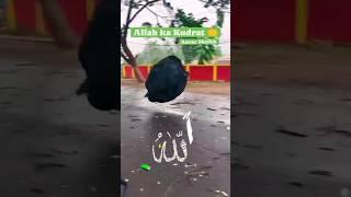 Allah Ko share karo #comedygenre #duet #gulamehuzoortajushshariyah#yrending_shorts_on_youtube #वह
