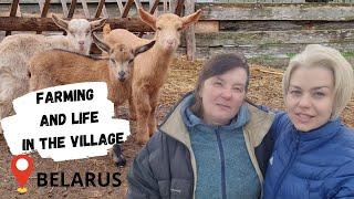 BELARUS: FARMING AND LIFE IN THE VILLAGE/  GOAT FARM AND FARMSTEAD "KRAINA MAR"