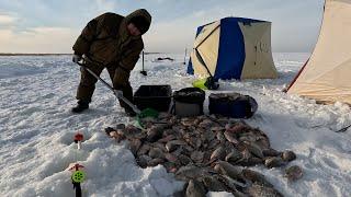 ШОК - рыбалка в Глухозимье! ЭТОГО не может быть!!!!-нам кричали Рыбаки!