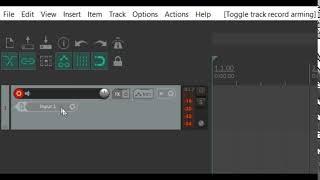 Focusrite Scarlett 2i2 no audio input NO SOUND Reaper Fix