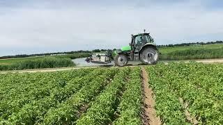 Colorado Beetle Catcher Machine turning and working