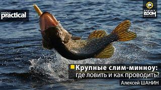 Крупные слим-минноу: где ловить и как проводить? Алексей Шанин. Anglers Practical