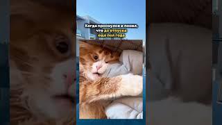 Ежедневно горящие туры на канале ufapegas1