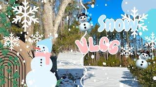 Snow Day Vlog ️ ️