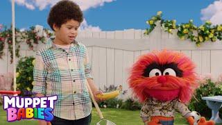 Fetch Animal  | Muppet Babies Play Date | Disney Junior