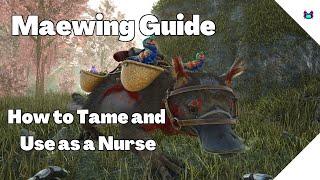 Maewing Guide - How to Tame and Use As a Baby Nurse - Ark Survival Evolved.