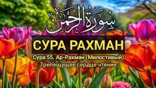 Сура РАХМАН ПЕРЕД СНОМ Красивое Чтение Корана!!!