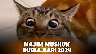 MUSHUK NAJIM DUBLAJLARI | AZIK BOOM |