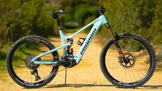  Propain Sresh 4-Month Review | Best Looking E-Bike for 2025?