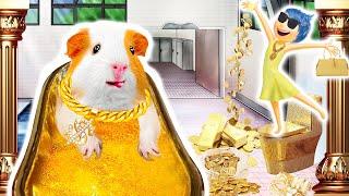 Hammy's Golden Bathtub Bliss And Laughter With JoyHAMSTER OBSTACLE COURSEHammyHappyTDC