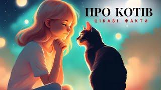 Цікаві факти про котів. Спосіб життя та поведінка котів. 10 цікавих фактів.