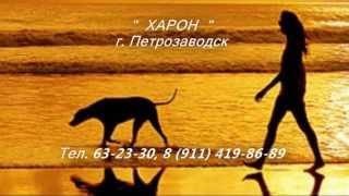 харон- ритуальные услуги для животных г  Петрозаводск
