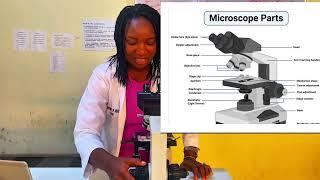 THE LIGHT MICROSCOPE #Concept #principles || Pan-African STM Cinema Competition 2024