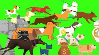 Dog stampede Green Screen | Animal stampede | 4k