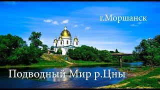 Подводный Мир реки Цны, г.Моршанск, Тамбовская область