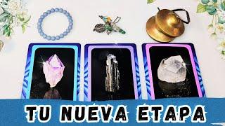 PROXIMOS PASOS HACIA TU NUEVA ETAPA 🪄 Tarot Interactivo Elige una Carta 