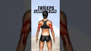 4 Mejores ejercicios para tríceps en el GYM que debes hacer