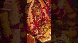 Discover Madhya Pradesh: A New Era of Vacationing in 2025 | Madhya Pradesh Tourism