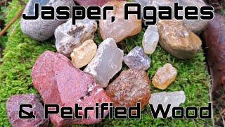 Rockhounding Oregon | Finding Jasper, Agates & Petrified Wood!