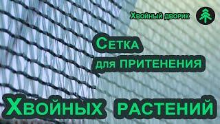 Сетка для притенения хвойных растений? Узнайте, чем мы притеняем посадочный материал