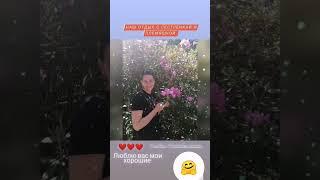 Немного меня  #vitebsk #изолон #подарок #hendmade #цветыизизолона #нарочь #фом #love #поставы