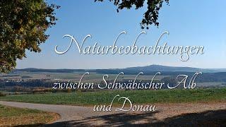 Naturbeobachtungen zwischen Schwäbischer Alb und Donau