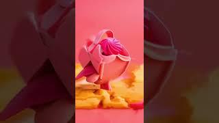 A Candy Bird by #aivideo #viralshorts #musicforshorts #aesthetic