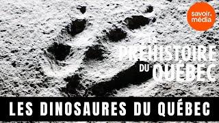 Les dinosaures du Québec - La préhistoire du Québec