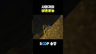 사마귀 : 안녕히계세요 여러분 #shorts