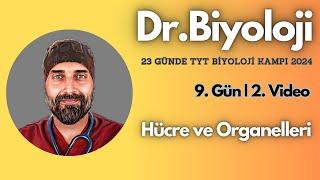 Hücre Organelleri-2 | 23 Günde TYT Biyoloji Kampı yks2024 | 9. Sınıf