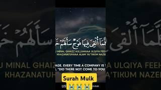 Surah Mulk | Emotional crying quran recitation by Imam faisal Mohammad#shorts #qurantilawat #tilawat