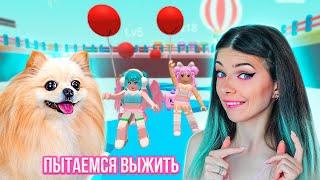 ВЫБЕРИ ПРАВИЛЬНО ЦВЕТ ЧТОБЫ ВЫЖИТЬ  C  @DogGamer1  в РОБЛОКС  Roblox