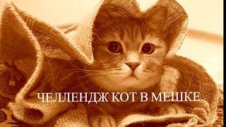 СУПЕР ЧЕЛЛЕНДЖ КОТ МЕШКЕ!  РАСКРАСИТЬ ТО ЧТО ДЛЯ ТЕБЯ ВЫБРАЛИ В РАСКРАСКАХ АНТИСТРЕСС №1