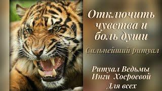 ОТКЛЮЧИТЬ ЧУВСТВА И БОЛЬ ДУШИ МОЙ ЛИЧНЫЙ СИЛЬНЕЙШИЙ РИТУАЛ ДАРЮ ВСЕМ. Witch ️ Inga Khosroeva NEW!