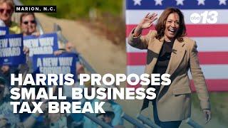 Harris proposes $50,000 tax break to boost small businesses: Local experts react